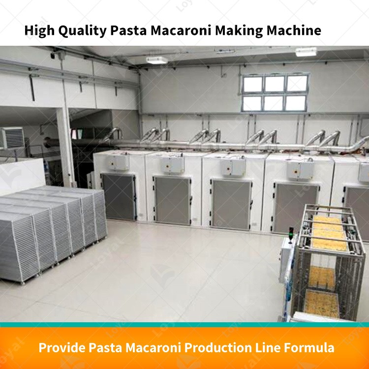 Redefining Processes: Full Automation in Lines Resembling Spaghetti Noodles