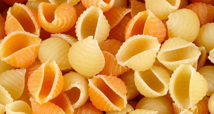 Shell Pasta