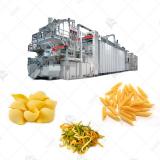 Advancing the Industry: High-Efficiency, Energy-Saving Solutions in Fully Automated Industrial Pasta Making